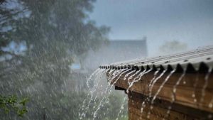 category-Récupération eau de pluie