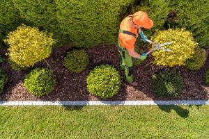 category-Entretien du jardin, jardiniers